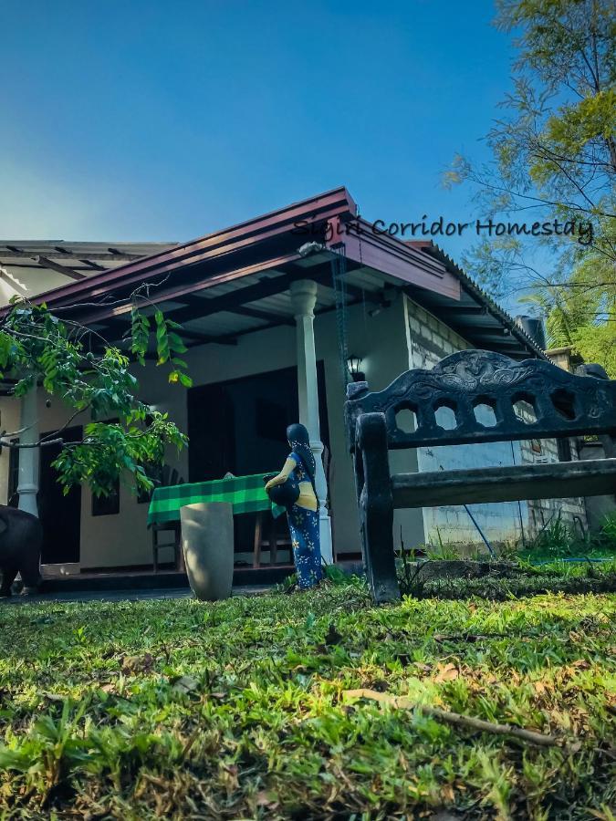 Sigiri Corridor Home Stay Sigiriya Exterior foto